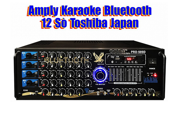 Ampli Bluetooth Sân Khấu Hội Thảo Karaoke Gia Đình Cali.D&Y PRO-989D
